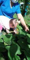 IMG-20200808-WA0044